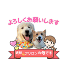 琥珀ちんとプリロンちゃん（個別スタンプ：24）