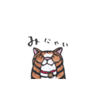 切り絵☆ねこスタンプ（個別スタンプ：5）