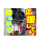 フレブル☆イケメンハリー（個別スタンプ：11）
