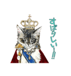 ねこの王族会議（個別スタンプ：14）