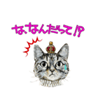 ねこの王族会議（個別スタンプ：19）