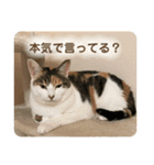 みんなのなかよし3人組（第二弾）（個別スタンプ：2）