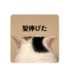 みんなのなかよし3人組（第二弾）（個別スタンプ：6）