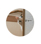 みんなのなかよし3人組（第二弾）（個別スタンプ：9）