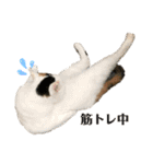みんなのなかよし3人組（第二弾）（個別スタンプ：10）