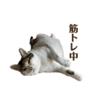 みんなのなかよし3人組（第二弾）（個別スタンプ：11）