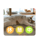 みんなのなかよし3人組（第二弾）（個別スタンプ：12）