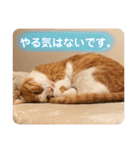 みんなのなかよし3人組（第二弾）（個別スタンプ：13）