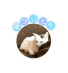 みんなのなかよし3人組（第二弾）（個別スタンプ：14）