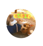 みんなのなかよし3人組（第二弾）（個別スタンプ：15）