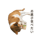 みんなのなかよし3人組（第二弾）（個別スタンプ：18）