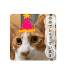 みんなのなかよし3人組（第二弾）（個別スタンプ：19）