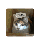 みんなのなかよし3人組（第二弾）（個別スタンプ：24）