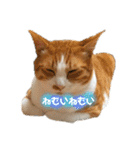 みんなのなかよし3人組（第二弾）（個別スタンプ：25）