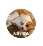 みんなのなかよし3人組（第二弾）（個別スタンプ：31）