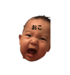 ゆうくんライフスタンプ（個別スタンプ：3）