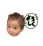 ちびっ子トンペンともくんのスタンプ①（個別スタンプ：15）