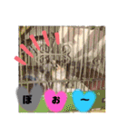 めろ日常言葉スタンプ¹0弾✩•*¨（個別スタンプ：5）
