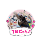 めろ日常言葉スタンプ¹0弾✩•*¨（個別スタンプ：8）