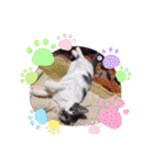 めろ日常言葉スタンプ¹0弾✩•*¨（個別スタンプ：29）