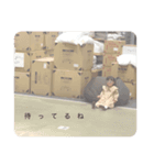 KUREHA2（個別スタンプ：6）