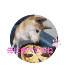 さくらと一緒 3（個別スタンプ：4）