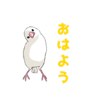 文鳥の福ちゃん（個別スタンプ：3）