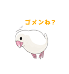 文鳥の福ちゃん（個別スタンプ：8）