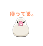 文鳥の福ちゃん（個別スタンプ：10）