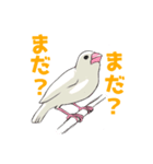 文鳥の福ちゃん（個別スタンプ：11）