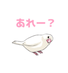 文鳥の福ちゃん（個別スタンプ：21）