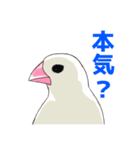 文鳥の福ちゃん（個別スタンプ：22）