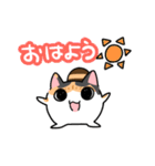 鞠ねこスタンプ（個別スタンプ：1）