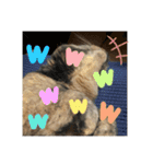 かぐらです。vol.2（個別スタンプ：13）