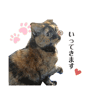 かぐらです。vol.2（個別スタンプ：14）