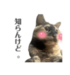 かぐらです。vol.2（個別スタンプ：15）
