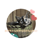 かぐらです。vol.2（個別スタンプ：17）