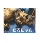 かぐらです。vol.2（個別スタンプ：20）