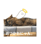 かぐらです。vol.2（個別スタンプ：23）