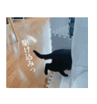 猫のもく（個別スタンプ：7）