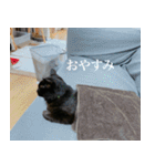 猫のもく（個別スタンプ：18）