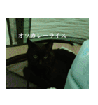 猫のもく（個別スタンプ：36）