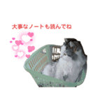 おぷちゃで使えるスタンプ(ペット編)2（個別スタンプ：4）