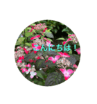 kinko-photo10（個別スタンプ：2）