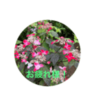 kinko-photo10（個別スタンプ：3）