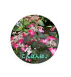 kinko-photo10（個別スタンプ：4）