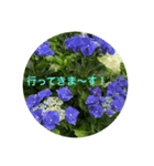 kinko-photo10（個別スタンプ：8）