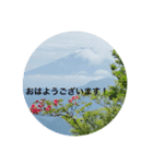 kinko-photo10（個別スタンプ：11）