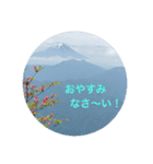 kinko-photo10（個別スタンプ：12）