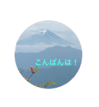 kinko-photo10（個別スタンプ：13）